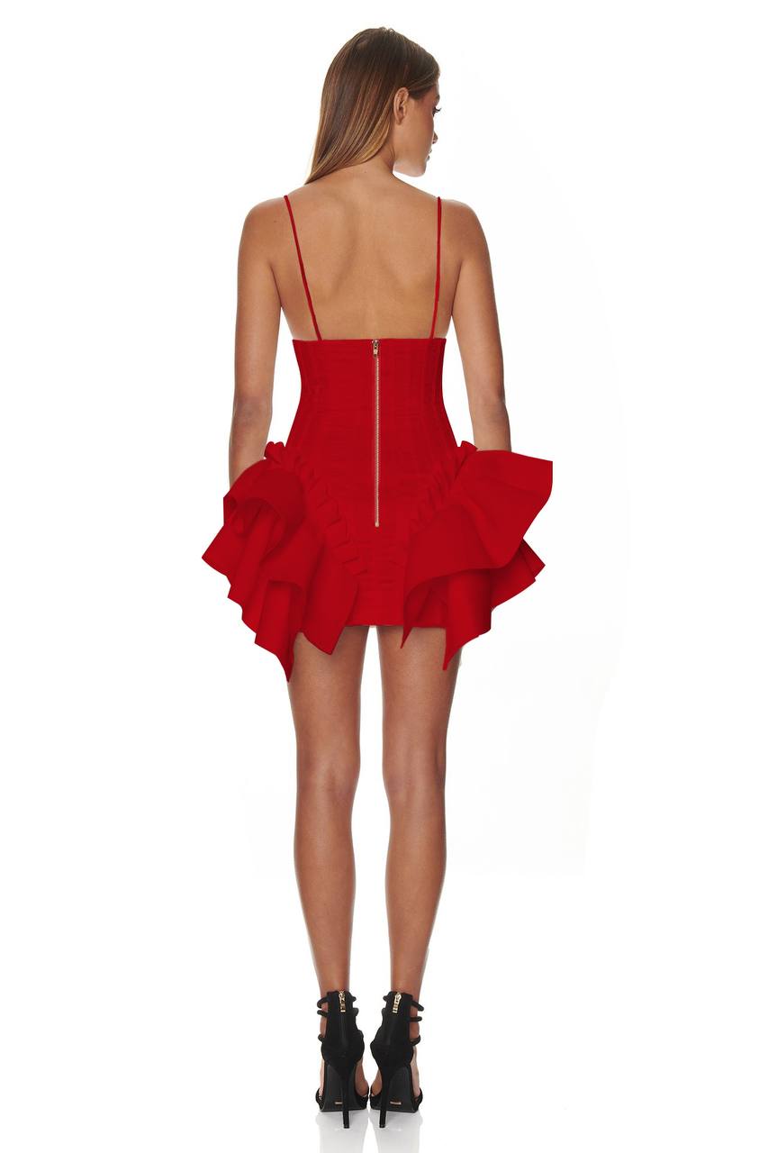 Red Promiscuous Mini Dress