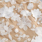 White Floral Lace Illusion Midi Dress