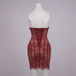 Maroon Floral Lace Corset Mini Dress