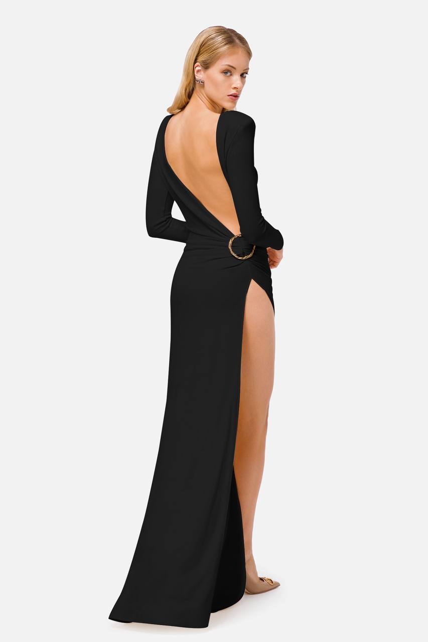 The Black Backless Plunge Long Sleeve Maxi Dress